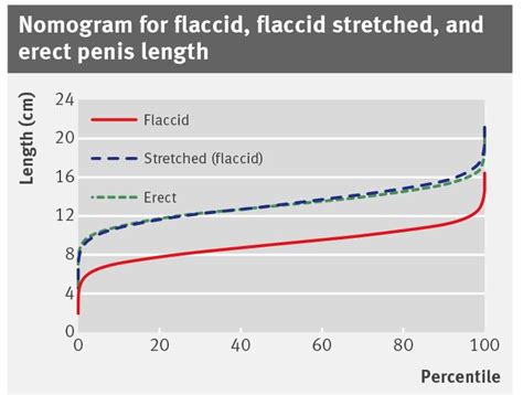 pic dick|Category : Flaccid and erect human penises in comparison